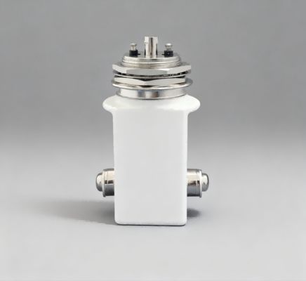 주문 JPK-20A SPST-NO 진공 릴레 스위치 110A 전류와 24V 코일 전압으로 고전압 DC28KV online manufacture