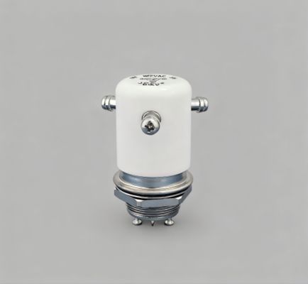 주문 JPK-2-WP 고전압 릴레이 15KV DC 50A 전류 통전 12V/24V 코일 전압 진공 릴레이 스위치 online manufacture