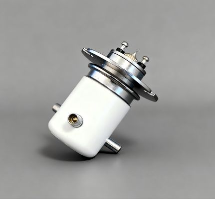 주문 JPK2SF 진공 릴레이 고전압 SPDT 릴레이, 15KV DC 50A 전류 및 12V/24V 코일 전압 online manufacture